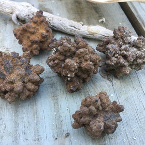 Peut inclure: Cinq formations rocheuses de couleur brune, de forme irrégulière, avec une surface rugueuse et texturée. Les formations sont disposées sur une surface en bois brun clair.