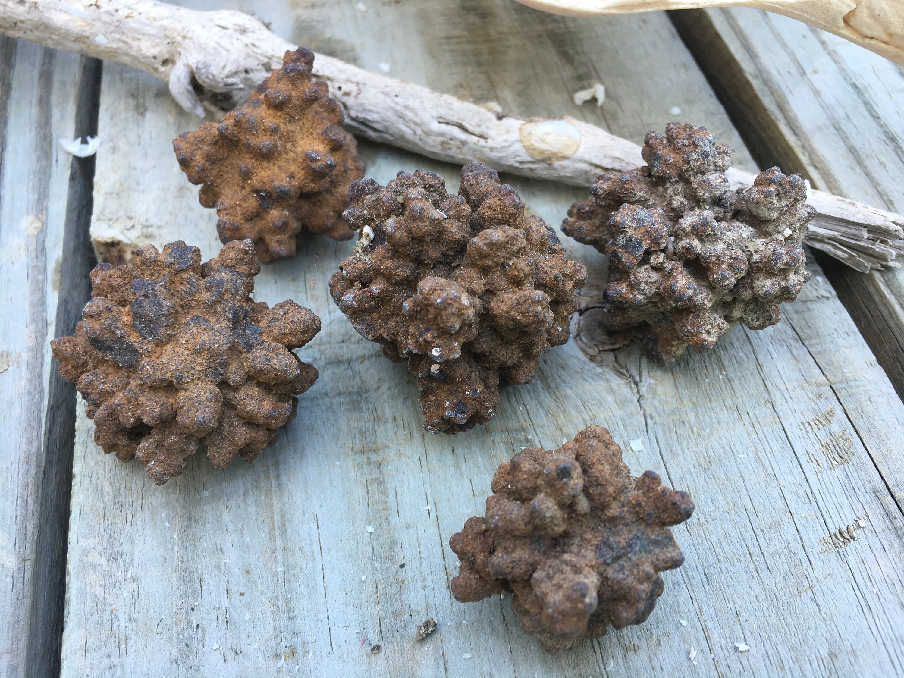 SUPPLIES 5 Natural Popcorn Rocks / Bubble Rocks / Amulets Etsy