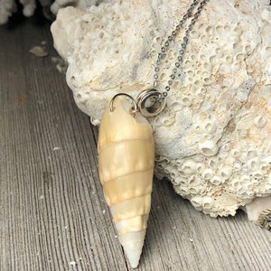 Sea Shell Pendant Necklace/ Natural Seashell Jewelry/ Beach Jewelry /Boho Shell Necklace/Shell Chain Necklace. {N7-1557#01736}