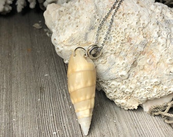 Muschel Anhänger Halskette: Natürliche Conch Shell, Strand Boho Schmuck
