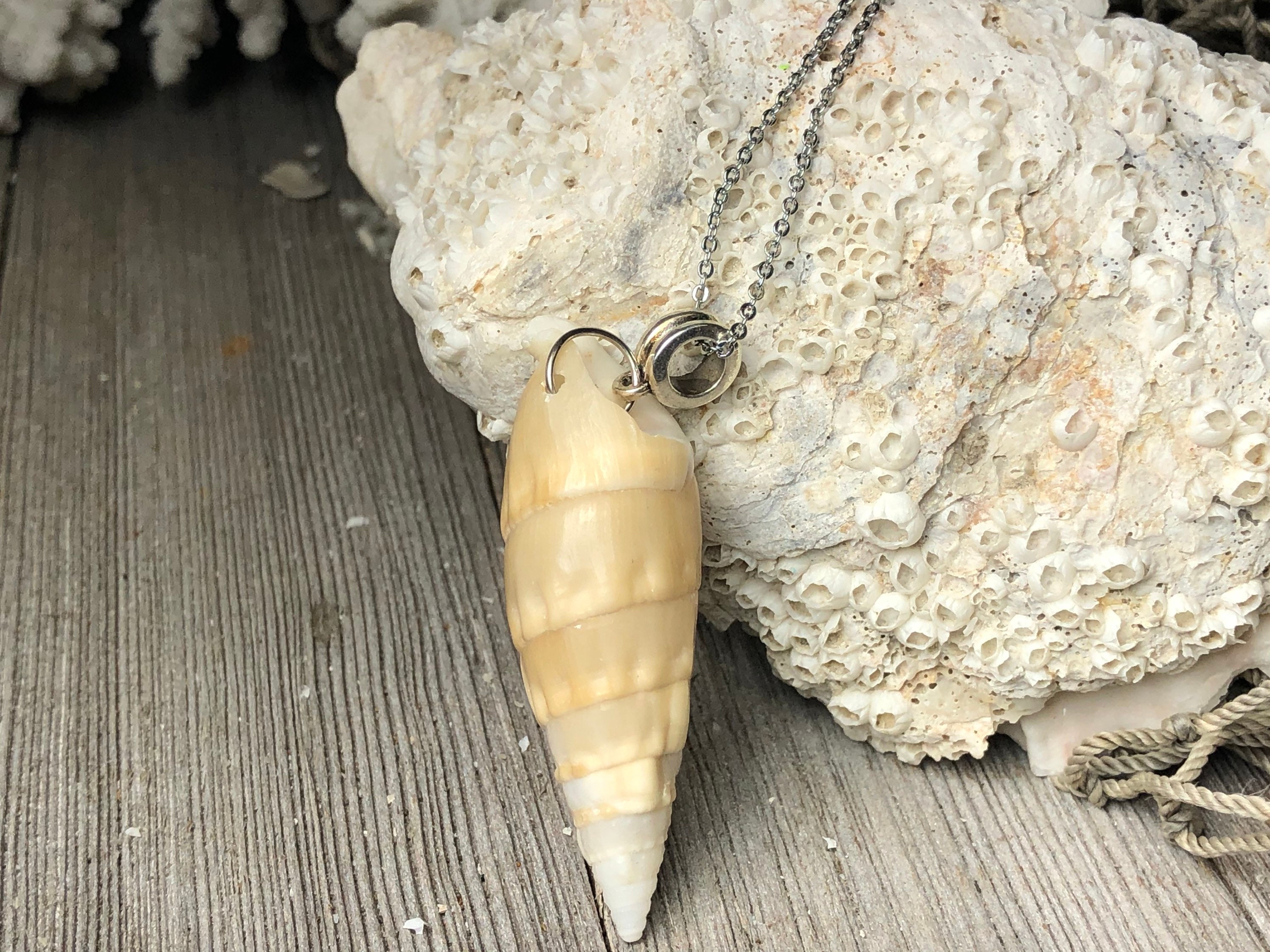 【as\"on】SEASHELL NECKLACE Stainless Steel Seashell, Natural Abalone & Mother of Pearl