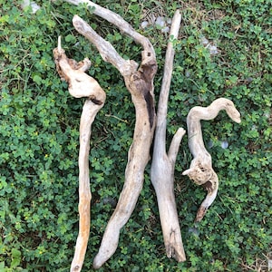 4 Raw Driftwood Pieces: Rustic Decor, Craft & Habitat Supplies (7-14&quot;)