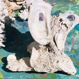 Op de afbeelding: Een witte, getextureerde en poreuze schelp met een grote, gladde, witte schelp die aan de zijkant is bevestigd. De schelp ligt op een blauwe en groene achtergrond.