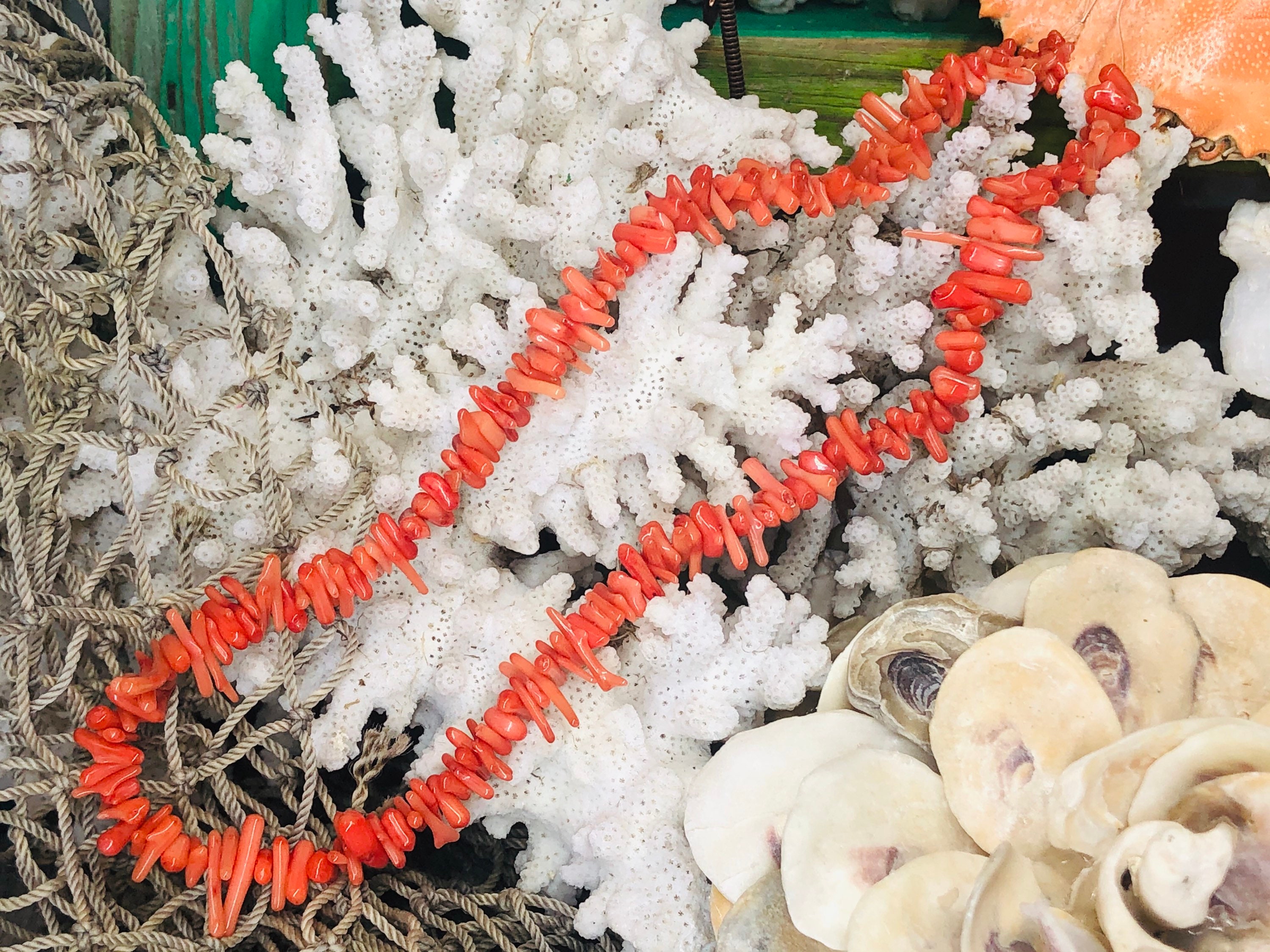 Orange Bamboo Coral Bead Strand: 16” Jewelry Beads - Etsy
