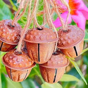Puede incluir: Un conjunto de seis cascabeles marrones rústicos atados con un cordel. Los cascabeles son de metal y tienen un acabado desgastado.