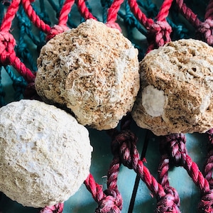 Peut inclure: Trois pierres rondes de couleur beige texturées avec une surface rugueuse. Les pierres sont posées sur un filet de corde rouge et bleu.