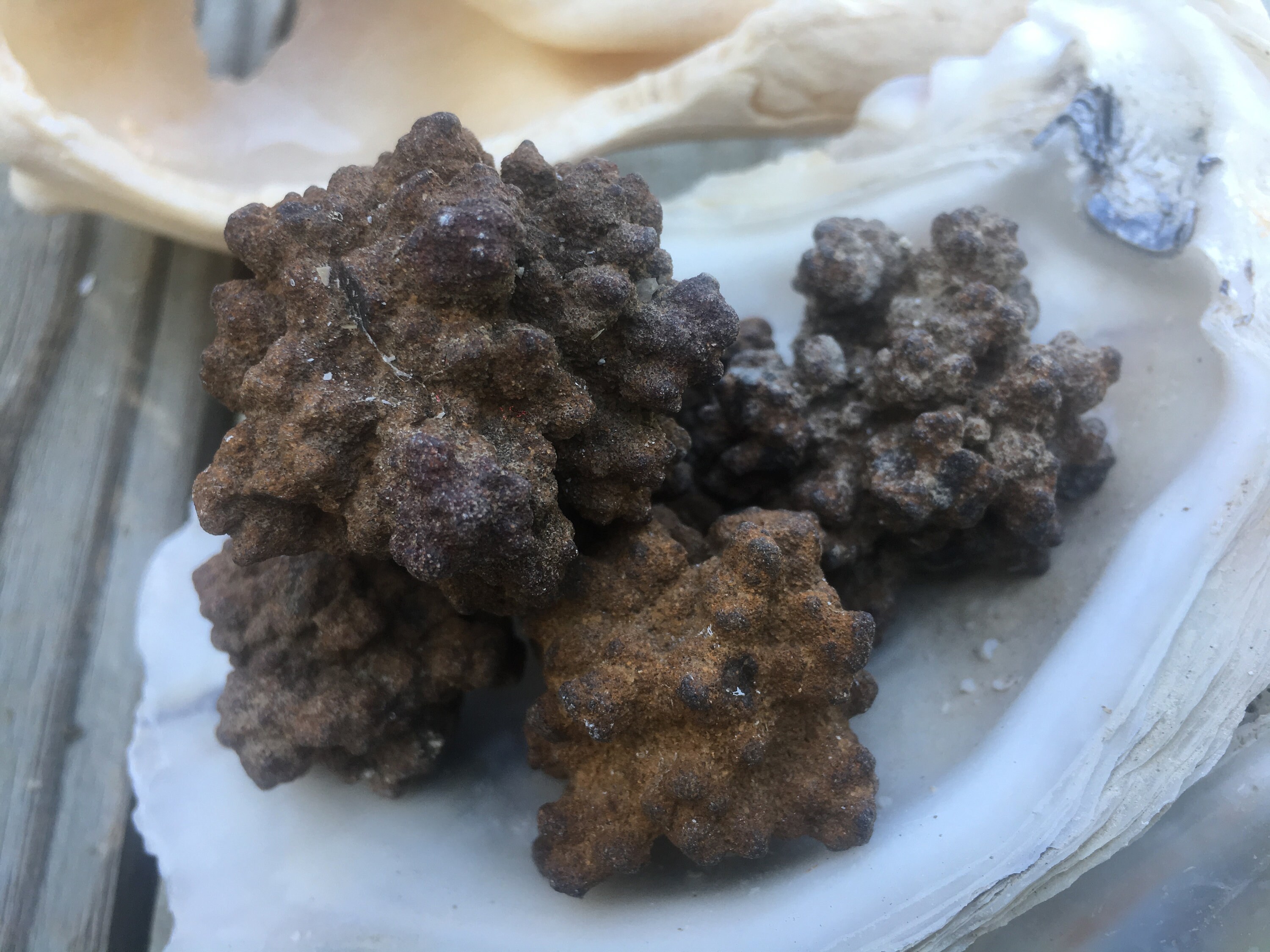 SUPPLIES 5 Natural Popcorn Rocks / Bubble Rocks / Amulets Etsy