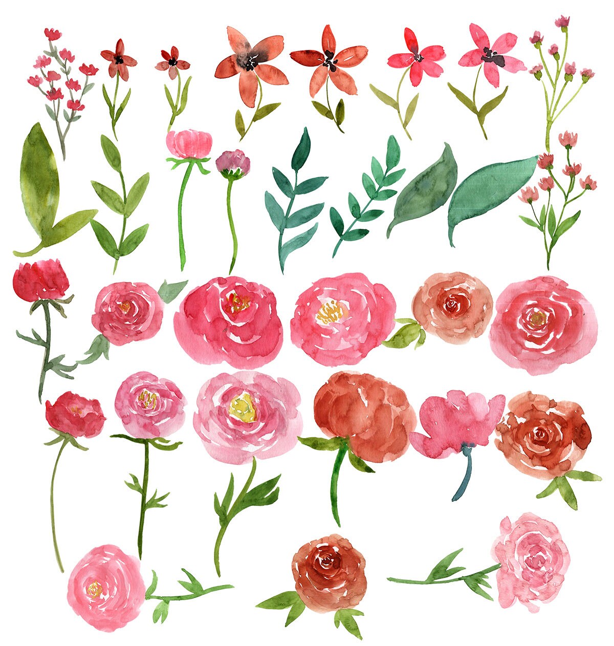 Peonies Watercolor Clipart Flowers Clipart Wedding - Etsy