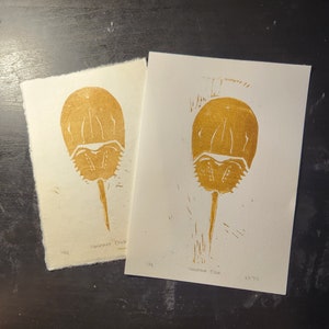 Horseshoe Crab Print - 4x6 or 5x7