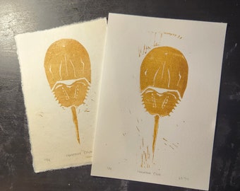 Horseshoe Crab Print - 4x6 or 5x7