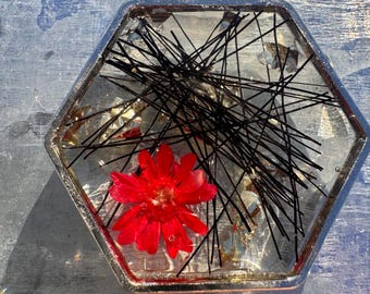 Pet Hair Memorial Pendant