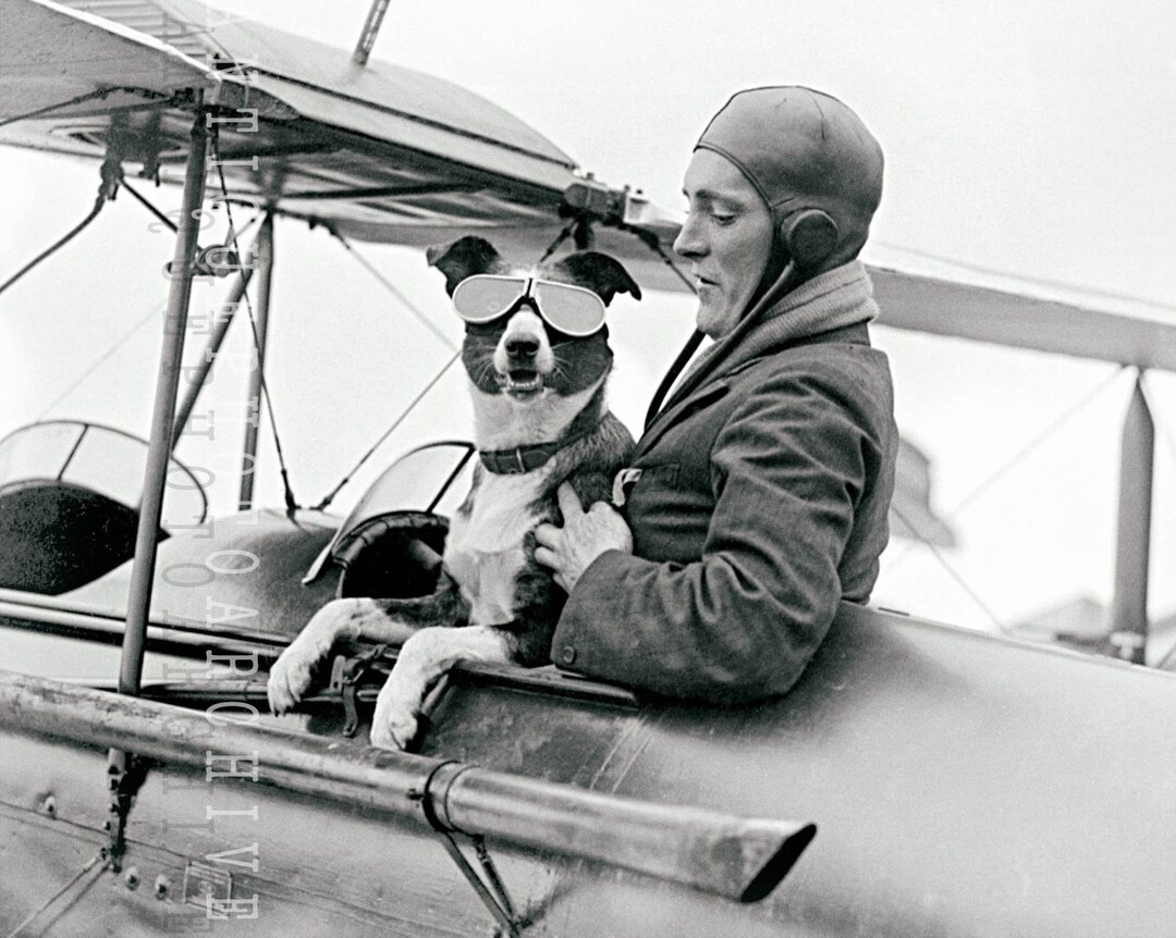 Dog Pilot Airplane Vintage Photo Print Photograph Wall Decor Etsy