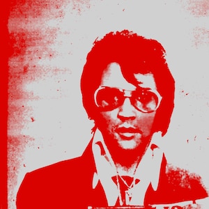 Elvis mugshot poster pop art large print modern wall decor Elvis fan gift celebrity mug shot musician icon 70s decoration retro photography