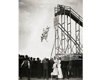 Diving horse photo wall print. Equine art, weird strange unusual old picture of vintage boardwalk black and white poster decor, unique gift.