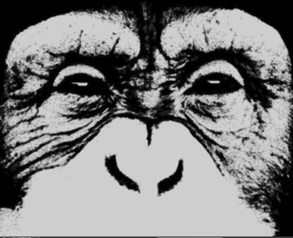 Monkey Art Print Pop Art Poster Chimp Chimpanzee Headphones Cool