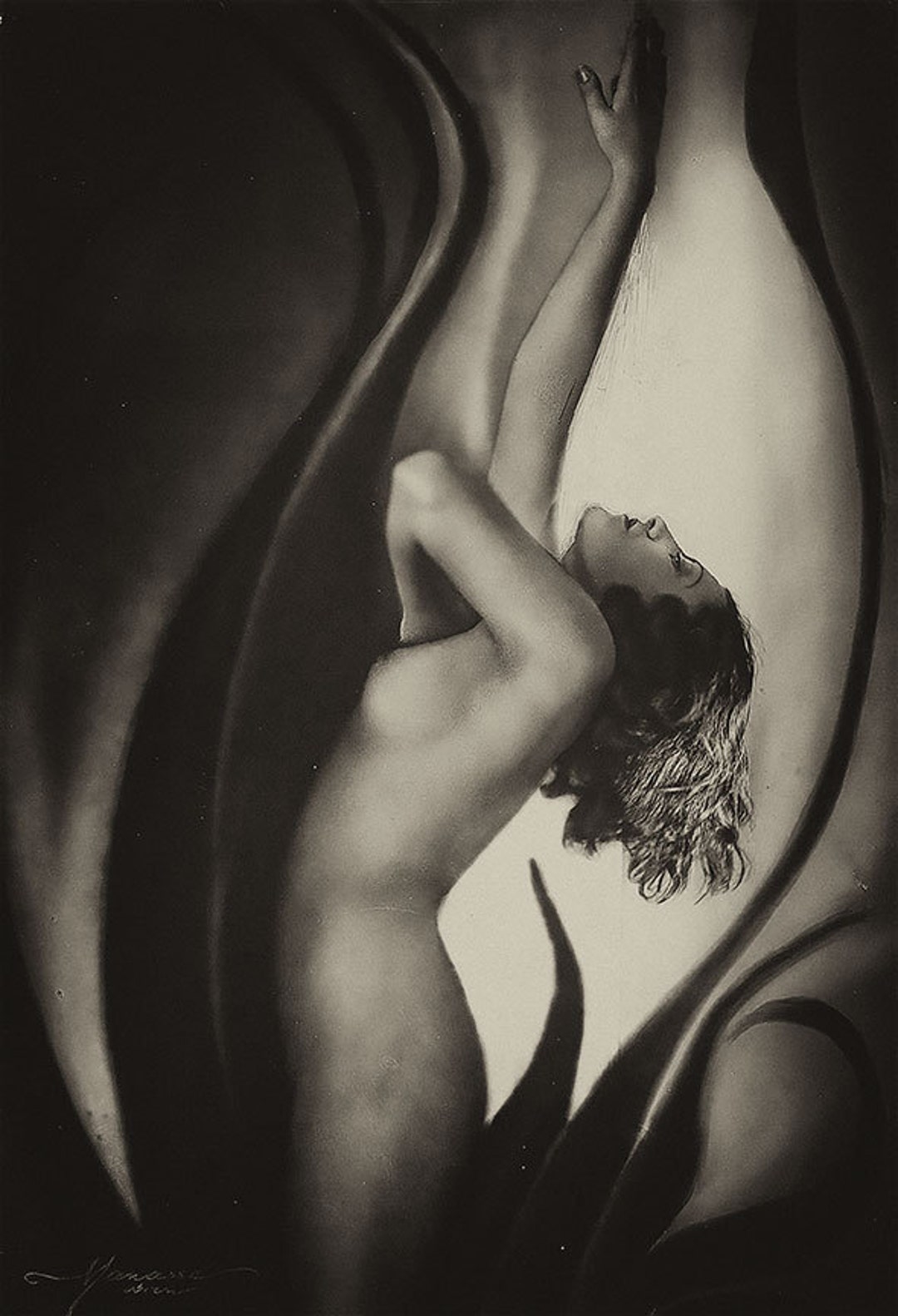 Vintage Nude Photo Print Sexy Fine Art French 1930s Studio photo