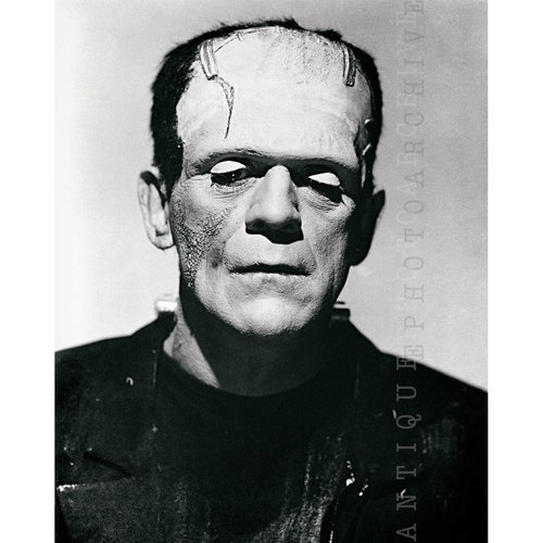 Boris Karloff Frankenstein NEW Poster BW 
