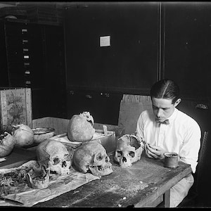 Espeluznante foto vintage impresión calaveras góticas decoración de la pared del hogar cartel de arte oscuro en blanco y negro macabro morboso rarezas y curiosidades regalo