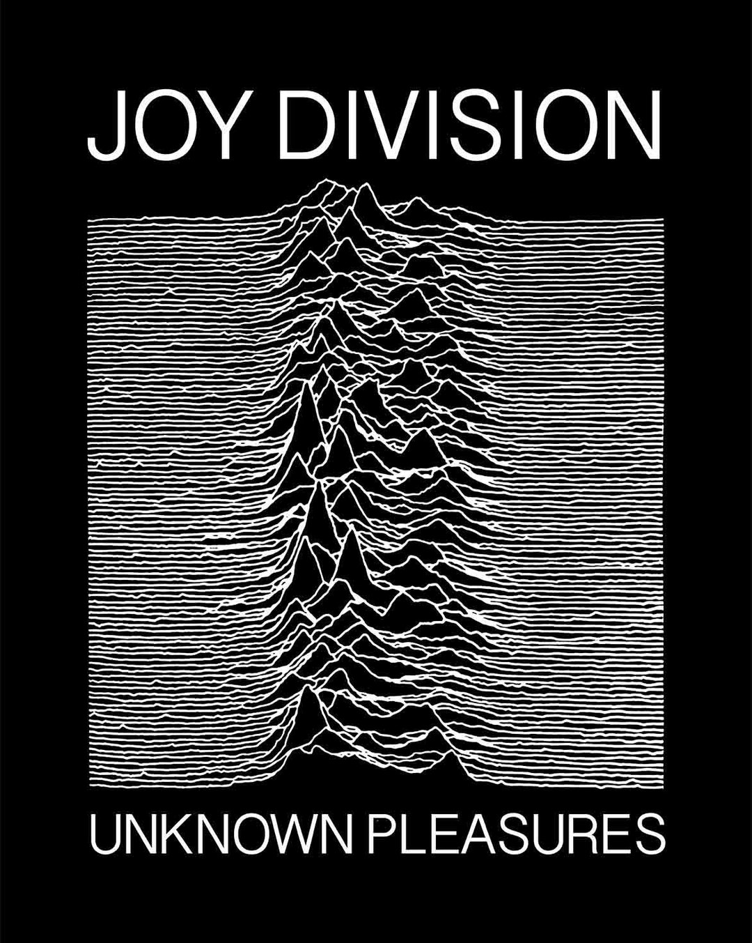激レアJOY DIVISION photographs 日焼けあり 送料無料 Joy Division Unknown Pleasures poster print record cover art
