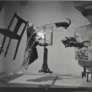 Surreal photograph Dali and jumping cats in water print. Black and white fine art poster weird strange unique unusual vintage wall decor.
