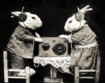 Rabbit bunny print wall decor vintage photo old antique radio headphones gift lover owner anthropomorphic art cool poster unusual unique