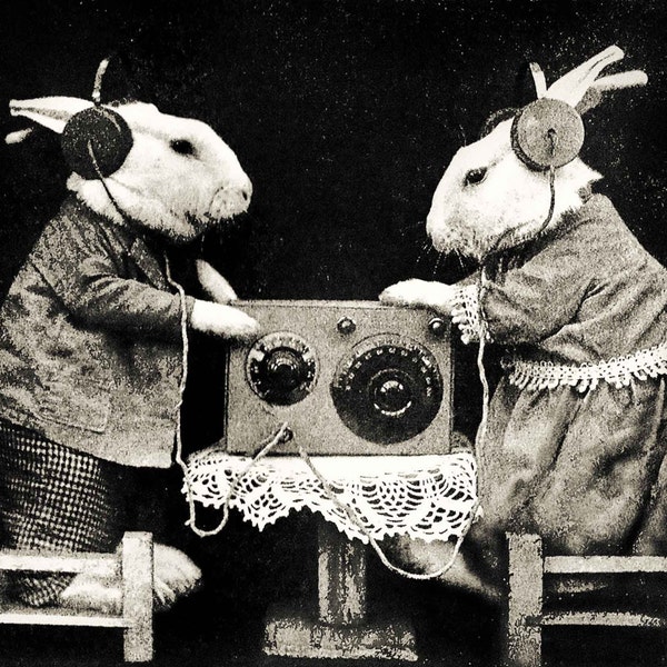 Rabbit bunny print wall decor vintage photo old antique radio headphones gift lover owner anthropomorphic art cool poster unusual unique