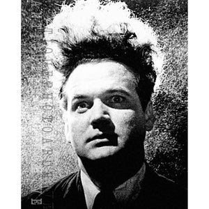 Eraserhead poster vintage movie poster David Lynch cult classic home theater decor horror film surreal black and white retro art strange