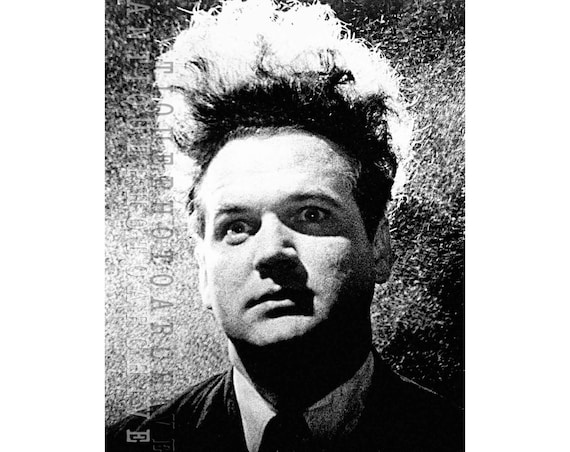 Eraserhead poster vintage movie poster David Lynch cult classic home theater decor horror film surreal black and white retro art strange