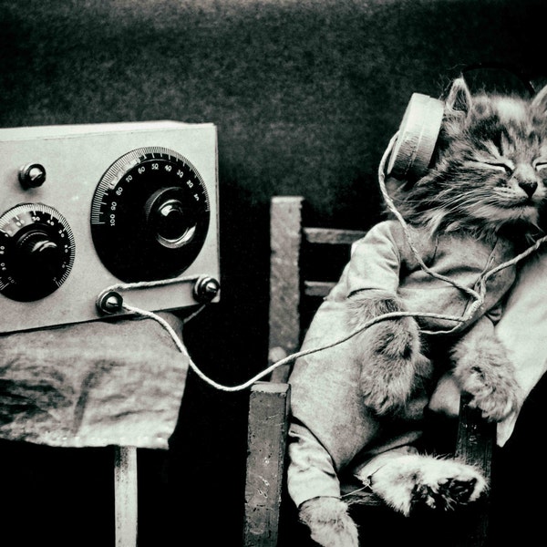 Kitten cat vintage photo print poster gift cat lover decor owner music audiophile radio headphones anthropomorphic for her him cool retro