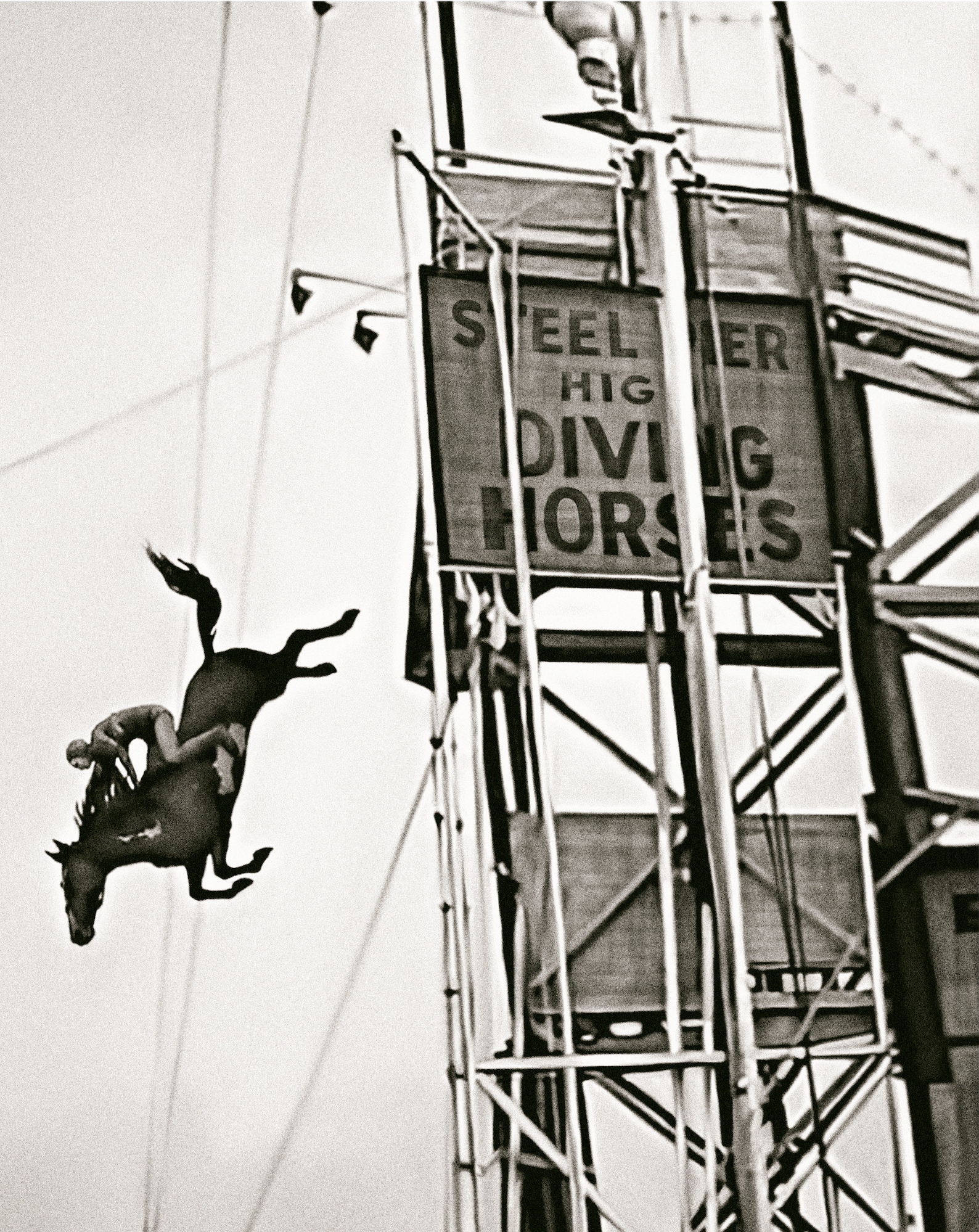Diving Horses Vintage Photo Print Art Poster Antique Boardwalk Etsy