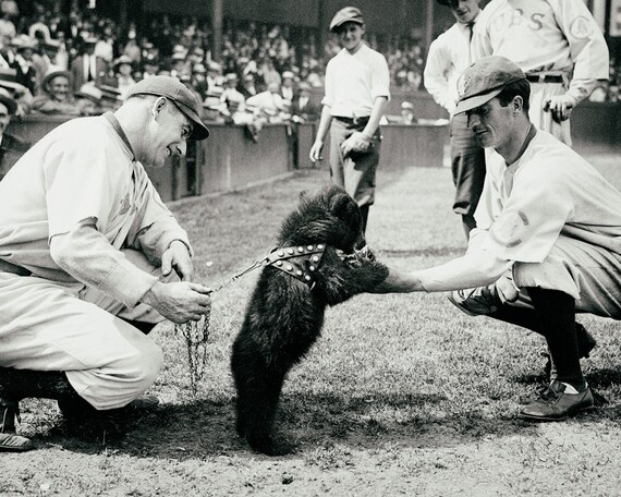 chicago cubs vintage