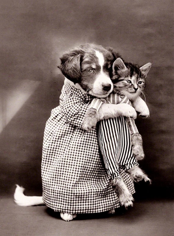 Vintage Photo Print Dog Cat Puppy Kitten Pets Wall Decor Black and