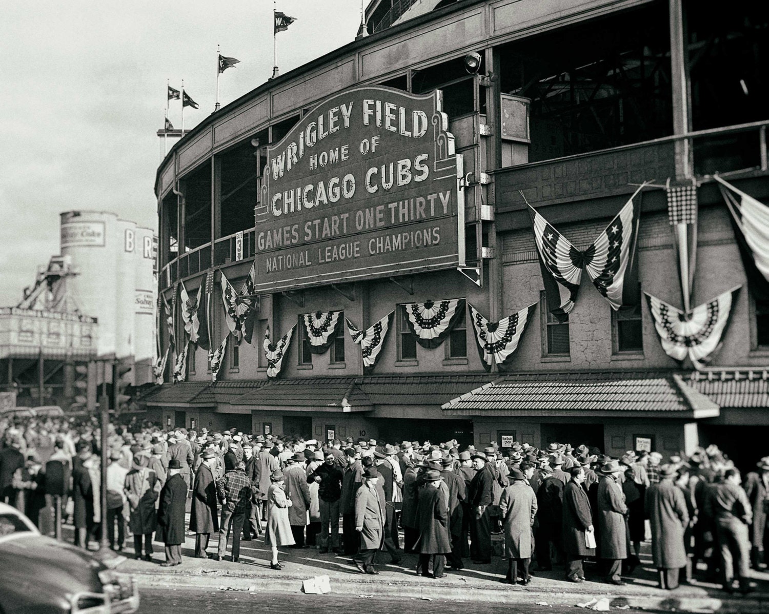 vintage chicago cubs photos