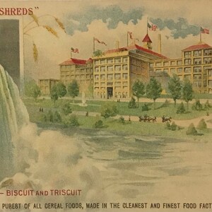 May include: A vintage postcard depicting a large factory building with the text "The Home of Shredded Wheat Niagara Falls, N.Y." and the slogan "It's All in the Shreds". The factory is situated on a grassy hill overlooking a river with a waterfall in the background.