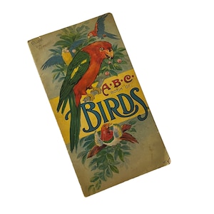ABC Book of Birds 1916 Illustrated Children&#39;s Book Drawings by Will F Stecher