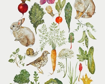 The Vegetable Garden Illustration Print