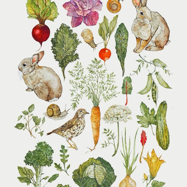 The Vegetable Garden Illustration Print