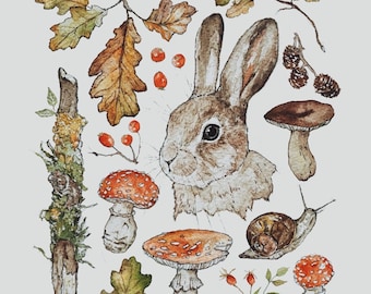 Woodland Rabbit Study Illustration Print