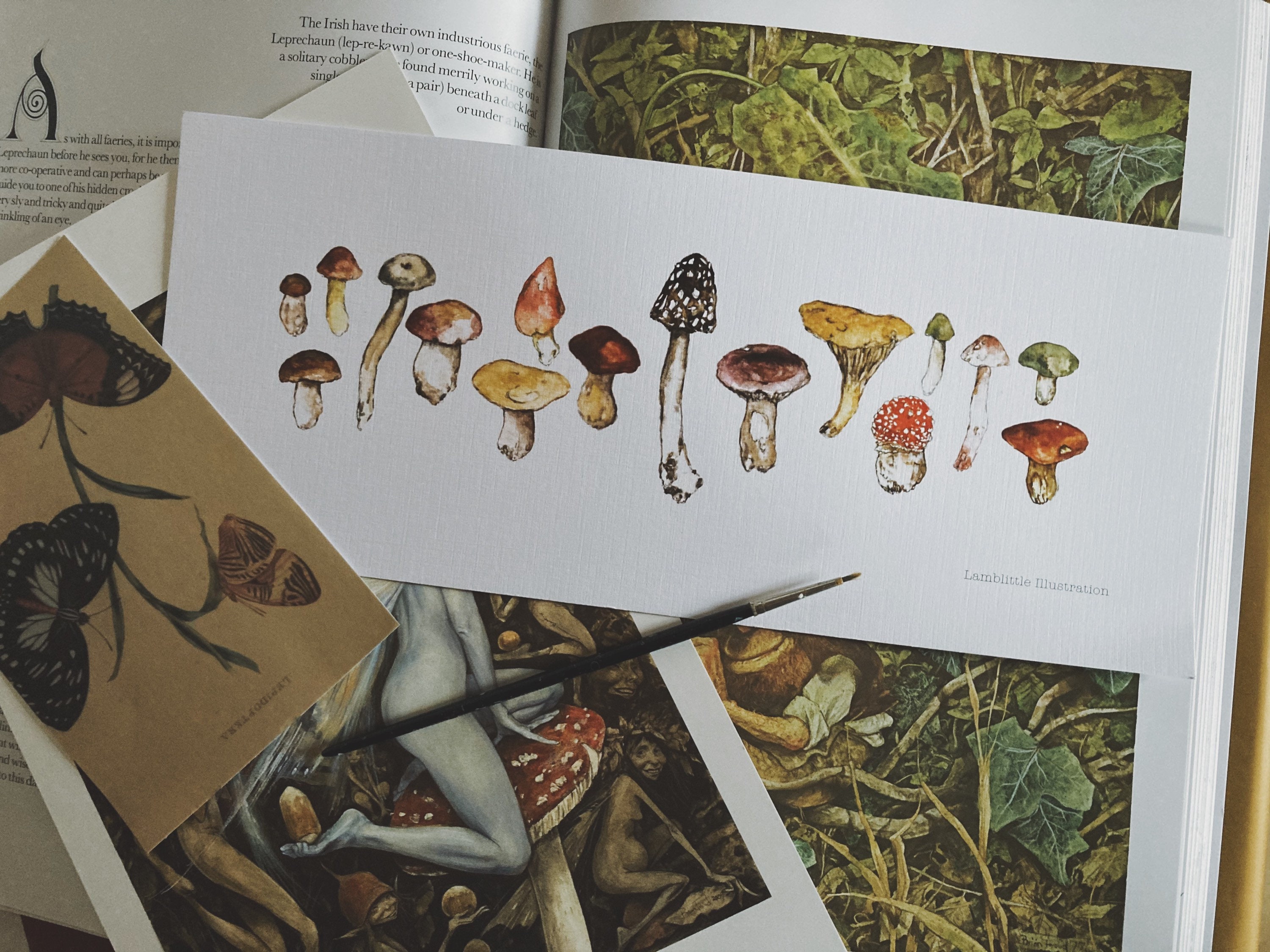 Toadstool Line Line of Toadstools Illustration Print - Etsy