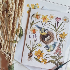 Watercolour Illustration A5 Greeting Cards Bluetits & Daffodils