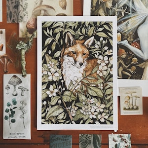Stampa di illustrazioni A5 con volpe nella siepe