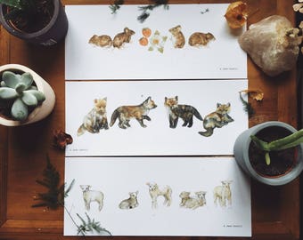 Woodland Families Illustration Print Pack