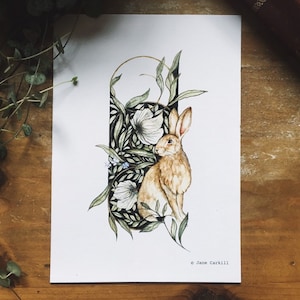 Stampa di illustrazioni A5 di lepre selvatica