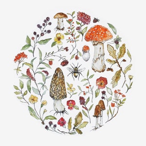 Puede incluir: Una ilustración de acuarela de un círculo lleno de varios hongos, flores y hojas. Los hongos son en tonos de marrón, rojo y blanco. Las flores son amarillas, rojas y rosadas. Las hojas son verdes y marrones.