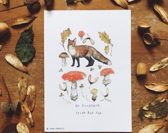 Woodland Series: Irish Red Fox A6 Illustration Print