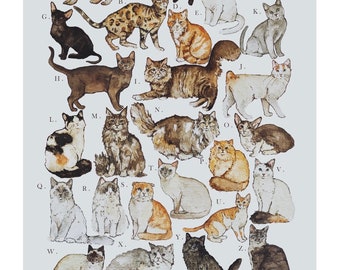 Alphabet of Cats A4 Illustration Print