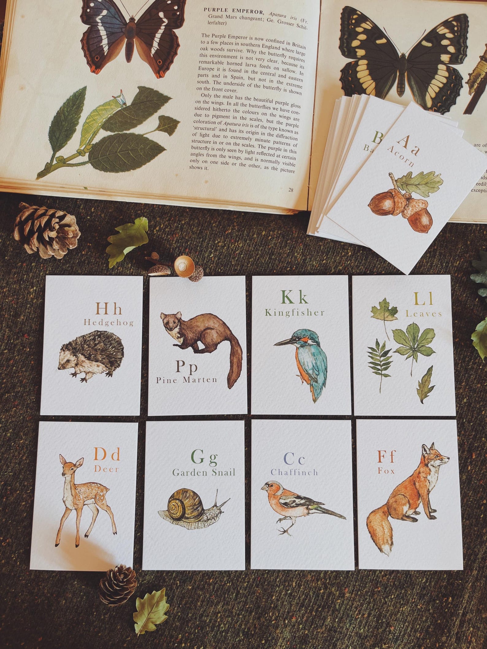 The Woodland Alphabet Flash Cards - Etsy