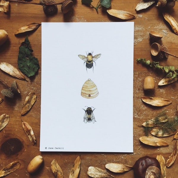 Woodland Series: Bee & Hive A6 Illustration Print