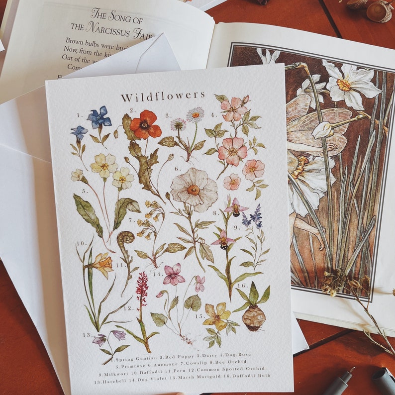 Watercolour Illustration A5 Greeting Cards Wildflowers