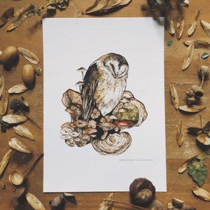 Soozing Owl A5 Illustration Print